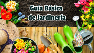 Guía Básica de Jardinería - Guias PDF