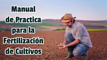 Manual de Practica para la Fertilización de Cultivos - Guias PDF