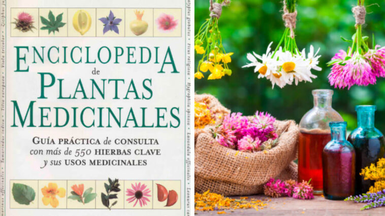 Enciclopedia de Plantas Medicinales - Guias PDF
