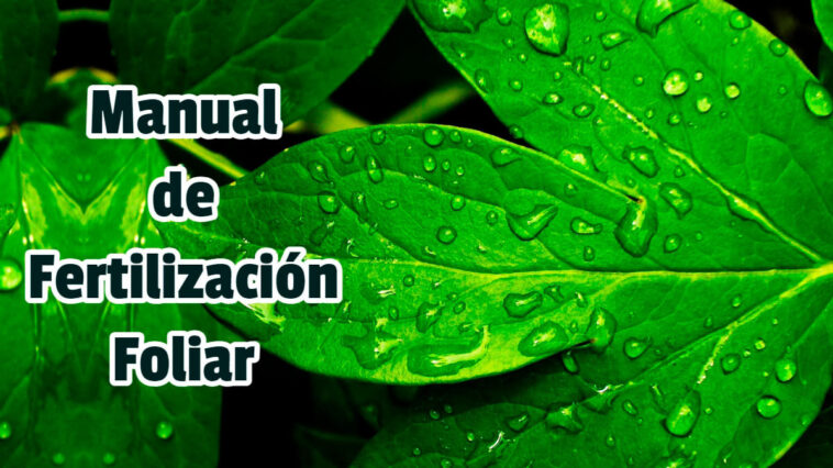 Manual de Fertilización Foliar - Guias PDF